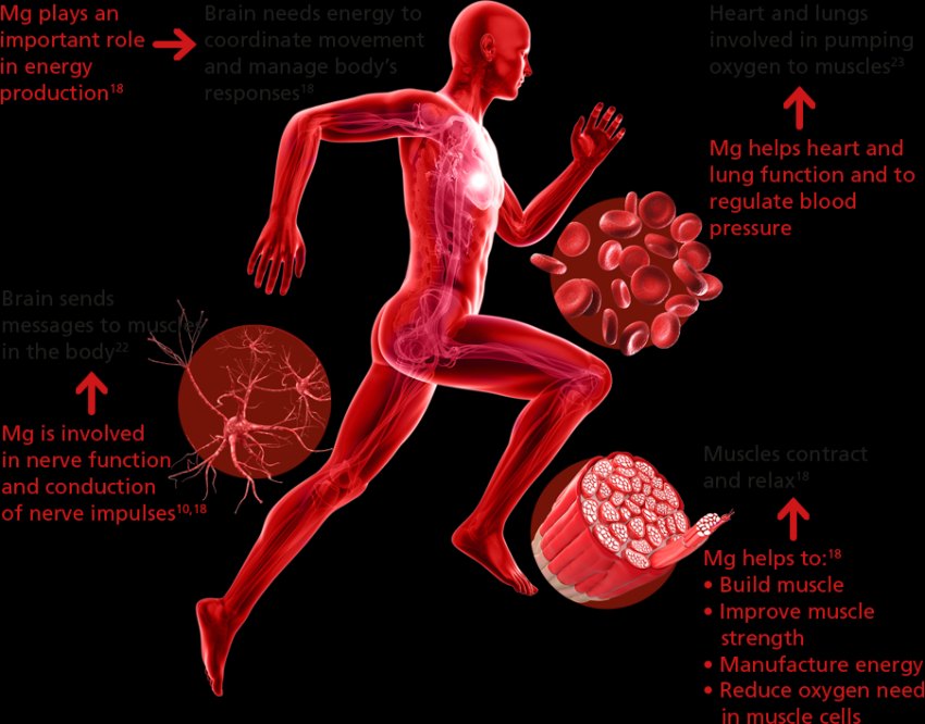 منیزیم و نقش آن در بدن