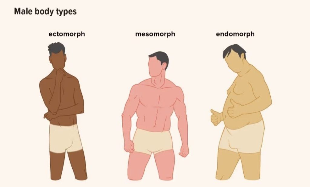 انواع تیپ بدنی در مردان