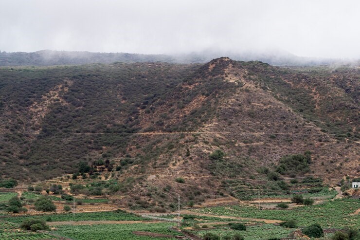 دویدن در طبیعت ایران